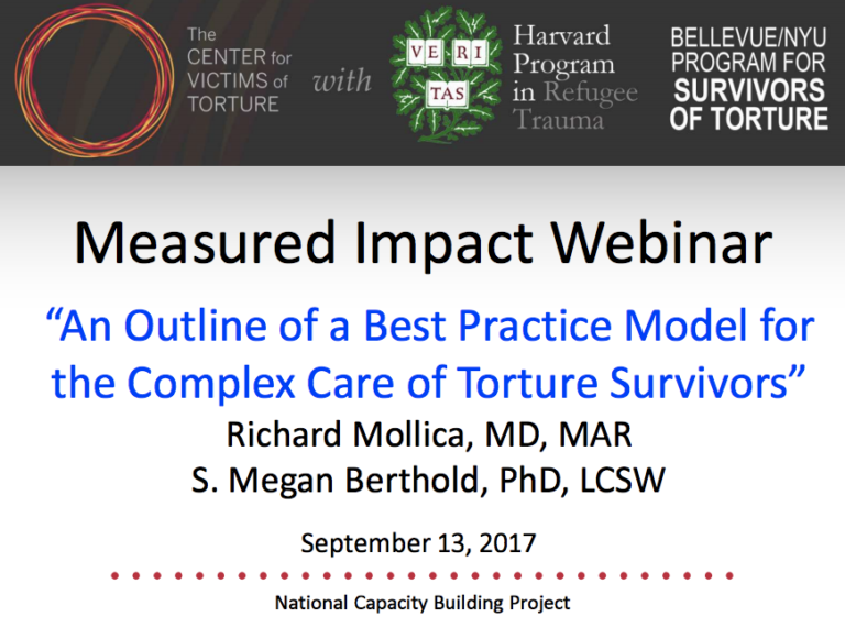 An Outline of a Best Practice Model for Working With Survivors of Torture
