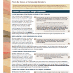 Best Practices Guide for Working with Karen, Nepali-Bhutanese, Oromo, and Somali Families in Child Welfare