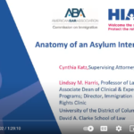 Asylum for Afghans 202: Anatomy of the Asylum Interview