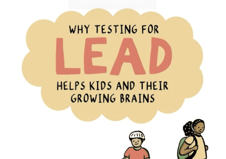 Childhood Lead Poison Prevention 