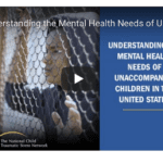 Understanding the Mental Health Needs of Unaccompanied Children (UC) in the United States