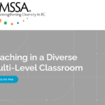 Teaching in a Diverse Multi-Level Classroom