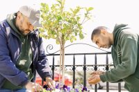 Photo-63-2 Photo-63-2